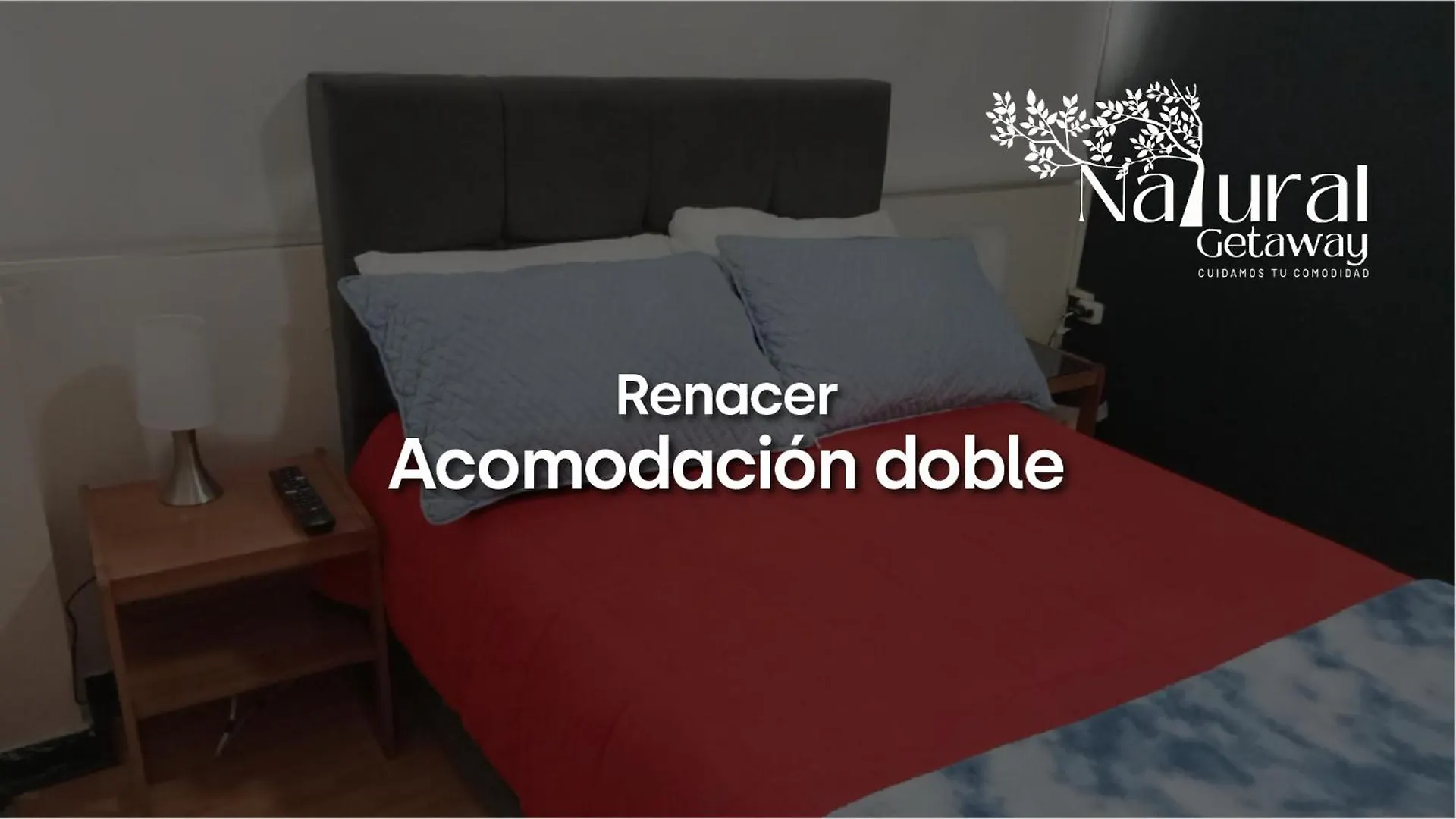 Renacer Natural Getaway Movistar Arena Bogotá